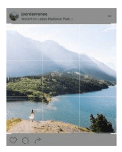 Screen Shot 2017-07-20 at 6.22.05 pm.png