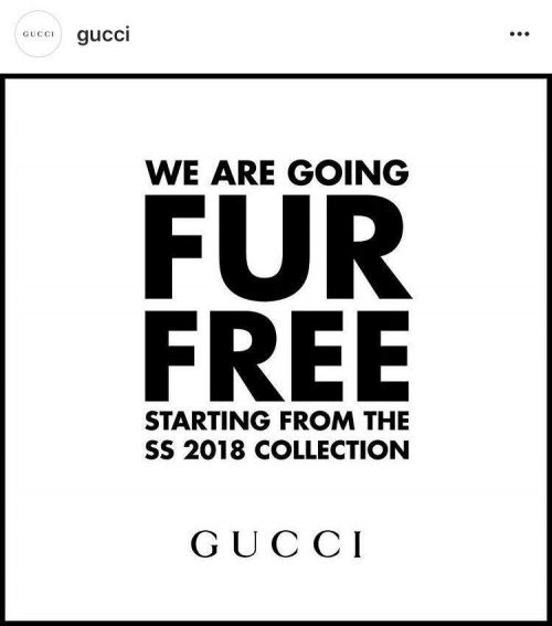 22854585_10212570043318876_1041756480_n-500x567