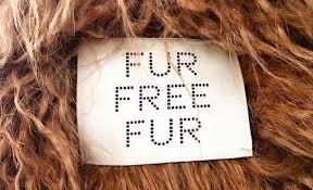 The Fight Against&nbsp;Fur!
